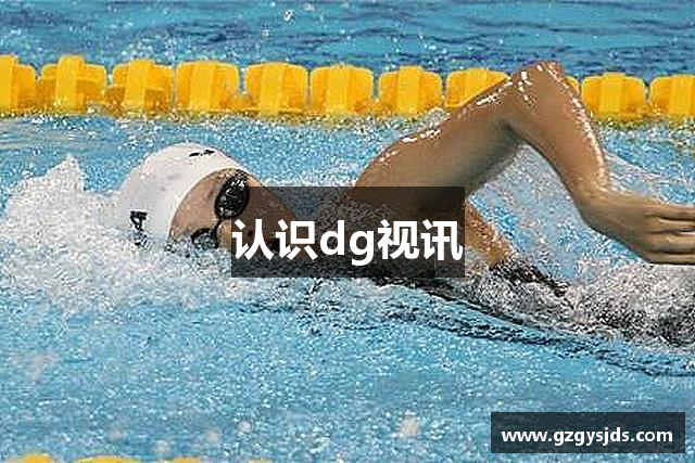 认识dg视讯